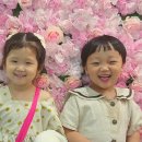 리카키즈룸 (수원라퍼스트점)