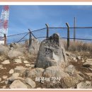 장산 목장터 Daum카페