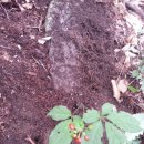 구심농장 이미지