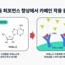 카페인중독천안