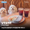 백마로 | 일산호수공원브런치 납작슬리퍼 | 유럽감성 실내 애견동반카페 파니니 솔직후기
