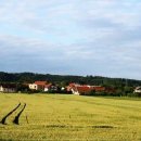 유럽의 차문화 이미지