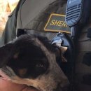 신원농장 이미지