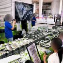 과학영재그래비트랙스 이미지