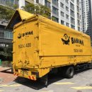 조은치과기공소 이미지