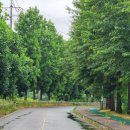 6.15 농장 이미지