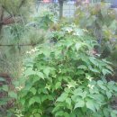 원종농장 이미지