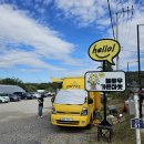 힐링마켓 | 힐링플랜츠마켓 방문 후기