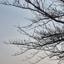 안막배수펌프장 이미지