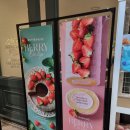 광천공용버스터미널 | 생딸기 시즌 스페셜 출시 시작! 광주 광천터미널 뷔페 맛집 애슐리퀸즈 유스퀘어점