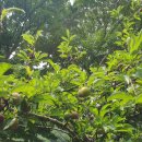 장곡민박산장 이미지