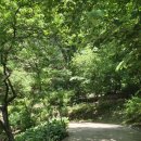 용인자연휴양림 | [국내여행] 용인 근교 데이트 추천, 자연휴양림 다녀온 후기