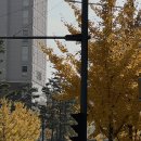 나운헤어샵 이미지