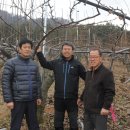 박용수농장 네이버블로그