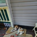 쉼펜션(B동) 이미지