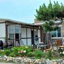 산포리민박 이미지