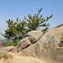 솔방울산악회 백양산 애진봉 철쭉꽃 번개 산행안내 이미지