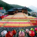 삼광사연등축제 이미지