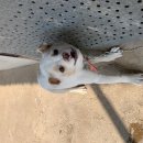 전봉준로 이미지