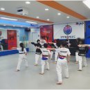 석사경희대효태권도