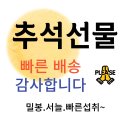 리바이웰 이미지