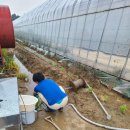 한운농장 이미지