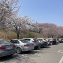 신석체육공원 입구 이미지