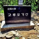 왕산골 사슴농장 Daum카페