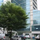 성문아파트 이미지