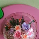 남곡초등학교(병설) 이미지