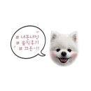 모어브 이미지