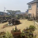 다래 전통찻집 네이버블로그