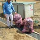 대명자동차정비 이미지