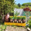 수림밸리펜션 이미지