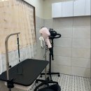 가자 | [파주 문산]-반려견 미용실 &#39;산책가자멍&#39; 내돈내산 후기