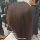 디앤디헤어 이미지