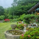 큰골농원 이미지