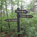 이산치안센터 이미지