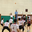 선기로2-11 Daum카페