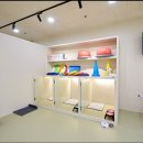 도그노리터 이미지