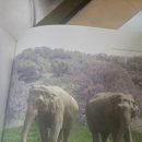 인천녹색당 5월 책읽기모임 후기, 동물체험관에 대해 이미지