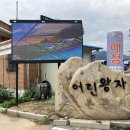 영월펜션어린왕자 이미지