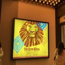 가빈인터내셔날 | [부산 뮤지컬] The Lion King, 뮤지컬 라이온킹 인터내셔널 투어 (드림씨어터 VIP 6열 관람 후기)