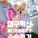 대구혁신메디컬 동물병원 이미지