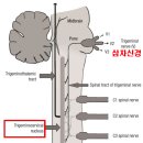 연세길한의원 이미지