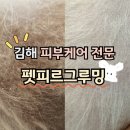 펫피르그루밍 이미지