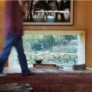 정이깃든 이미지