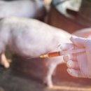 병용농장 이미지