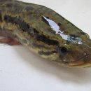 비상태권도장 이미지