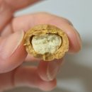 CU마트 | CU 초코랑 마트 신상 과자 먹어본 후기🍫🥜